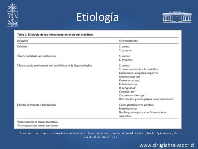 Diapositiva 13 de Pie Diabético