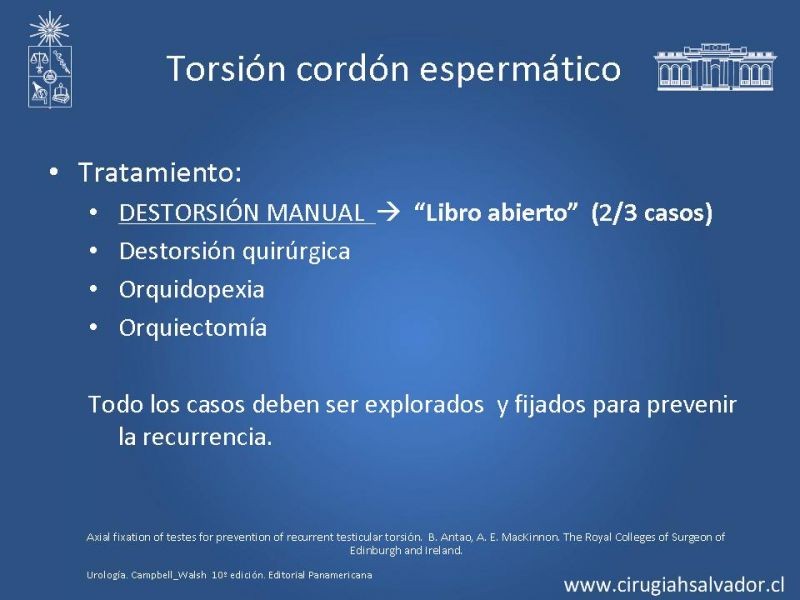 Diapositiva 12 de Escroto Agudo