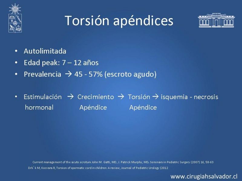 Diapositiva 15 de Escroto Agudo