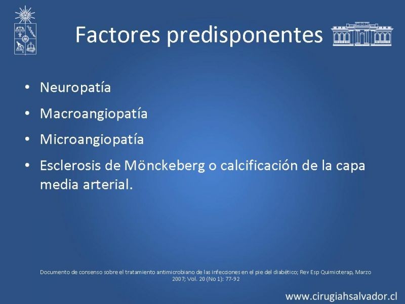 Diapositiva 4 de Pie Diabético