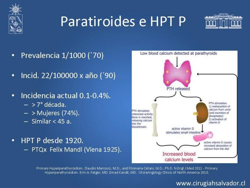 Diapositiva 3 de Hiperparatiroidismo Primario