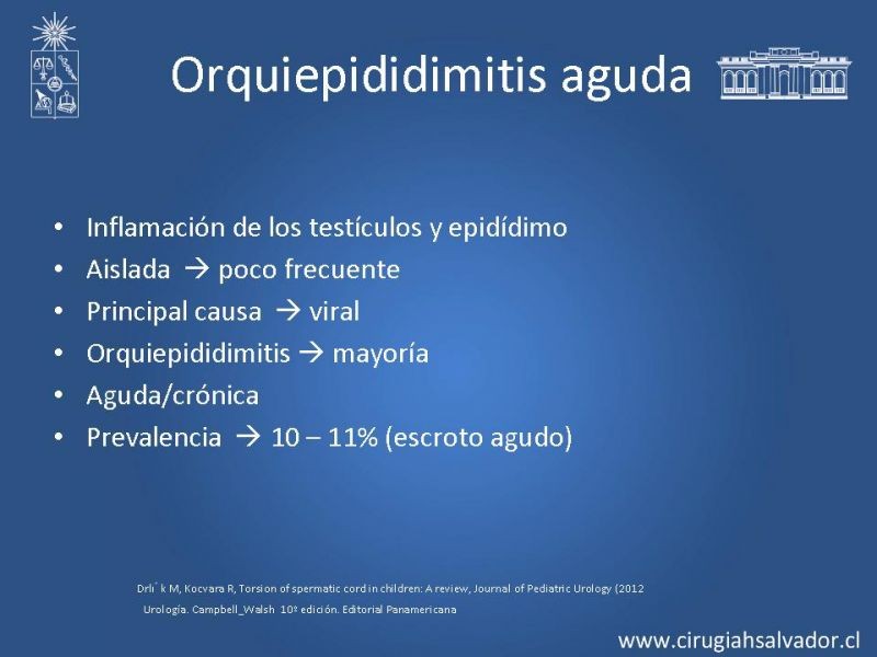 Diapositiva 18 de Escroto Agudo