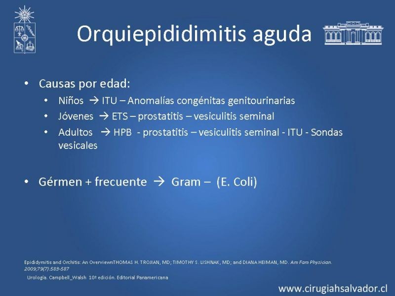 Diapositiva 20 de Escroto Agudo