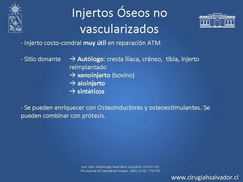 Diapositiva 11 de Alternativas de Reconstrucción Mandibular