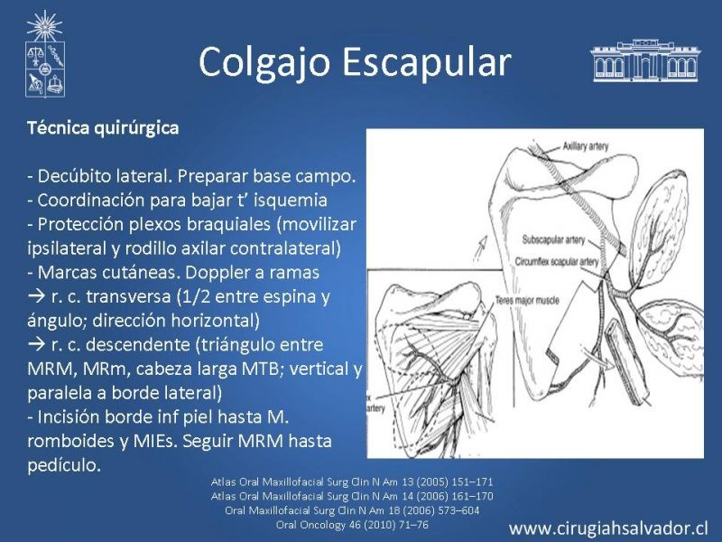 Diapositiva 25 de Alternativas de Reconstrucción Mandibular