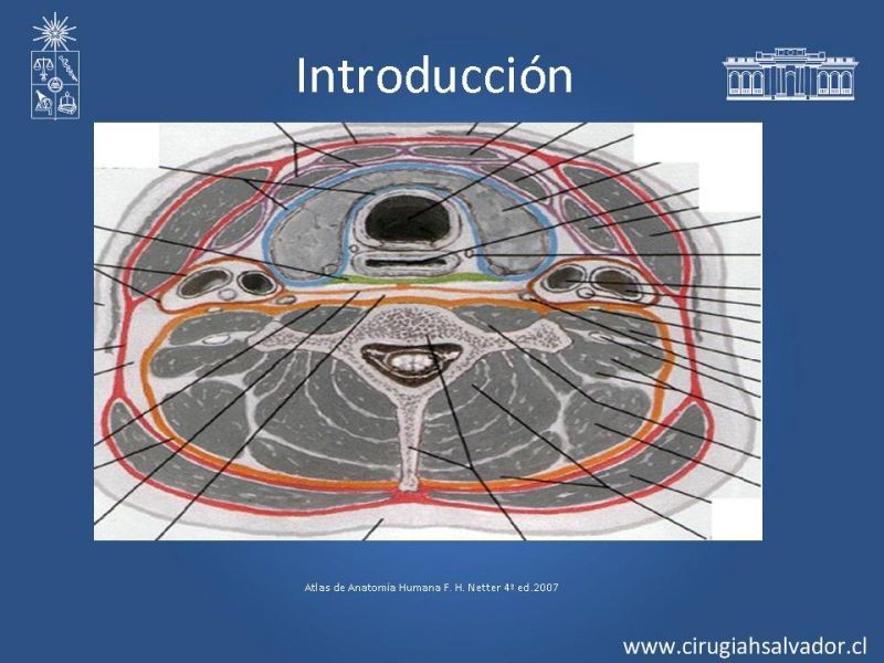 Diapositiva 3 de Alternativas de Reconstrucción Mandibular