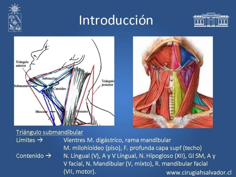 Diapositiva 4 de Alternativas de Reconstrucción Mandibular