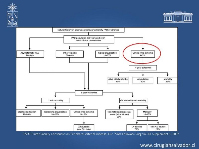 Diapositiva 4 de Manejo de Isquemia Critica de Extremidades Inferiores
