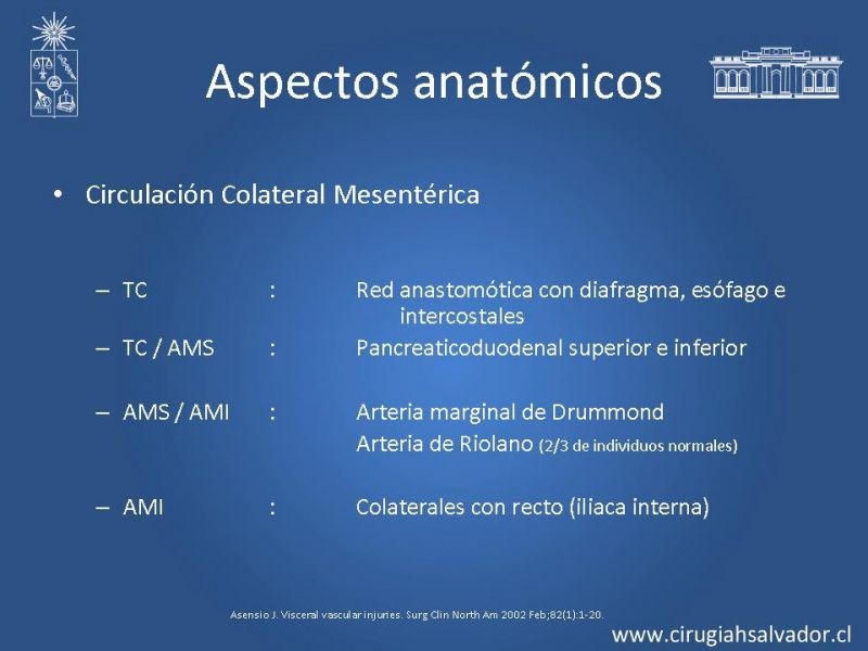 Diapositiva 12 de Lesiones Vasculares Abdominales