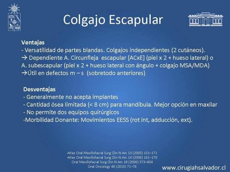 Diapositiva 24 de Alternativas de Reconstrucción Mandibular