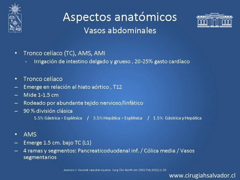 Diapositiva 6 de Lesiones Vasculares Abdominales