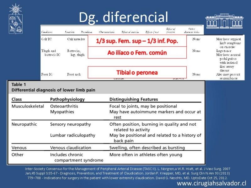 Diapositiva 2 de EAO Tto Médico y Cx (Claudicadores)