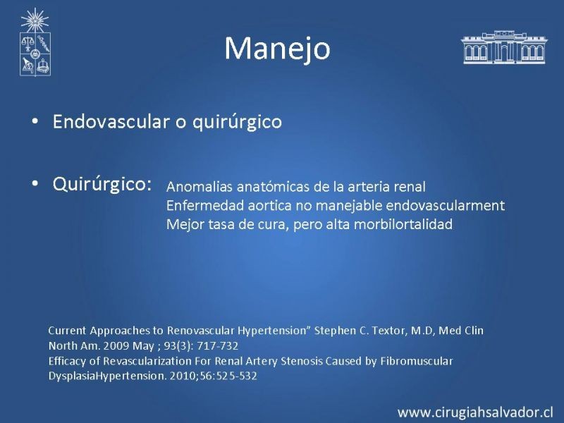 Diapositiva 20 de Hipertensión Renovascular