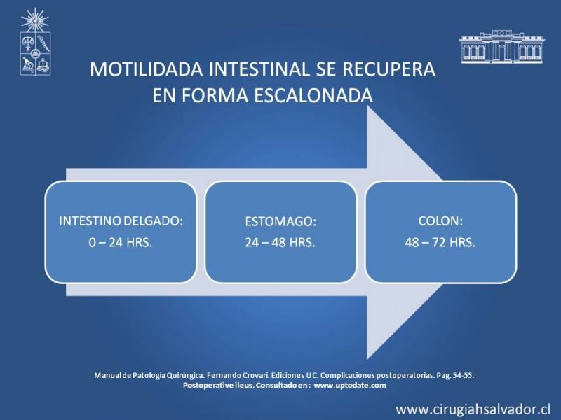 Diapositiva 4 de Ileo adinámico postoperatorio