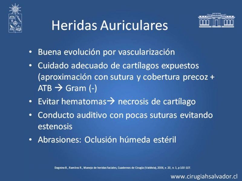Diapositiva 31 de Heridas faciales complejas