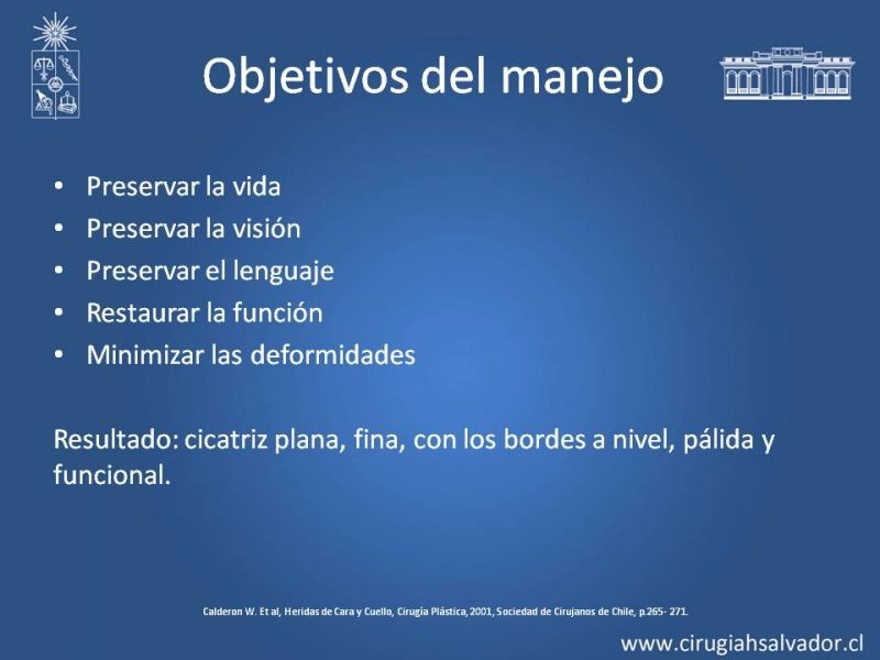 Diapositiva 2 de Heridas faciales complejas