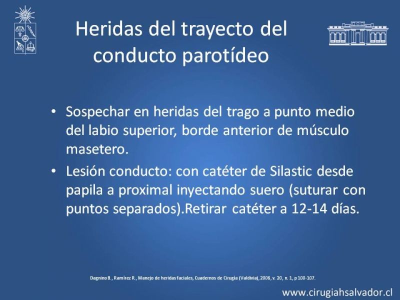 Diapositiva 33 de Heridas faciales complejas