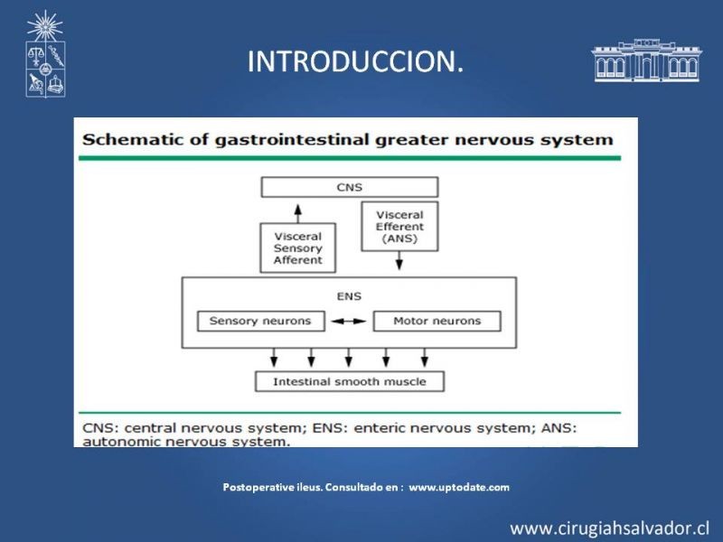 Diapositiva 3 de Ileo adinámico postoperatorio