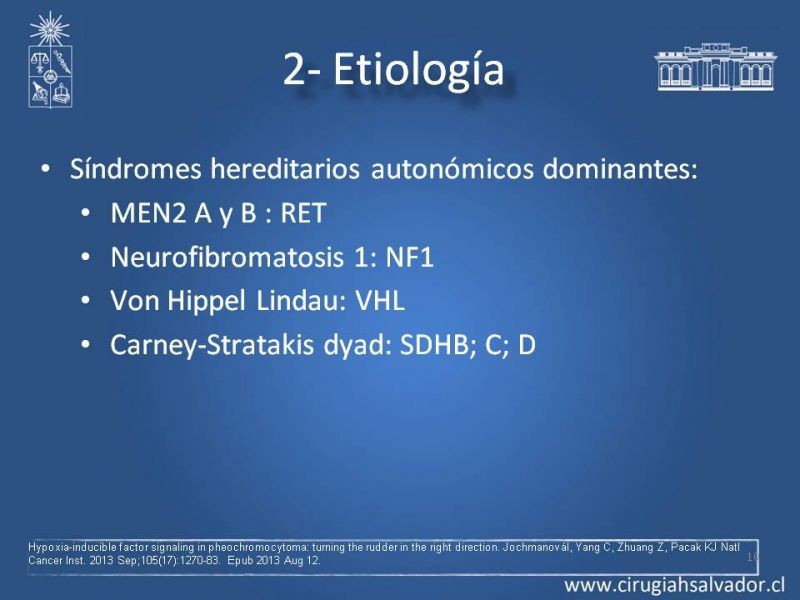 Diapositiva 9 de Paraganglioma cervical