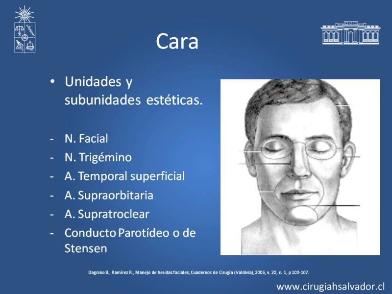 Diapositiva 7 de Heridas faciales complejas