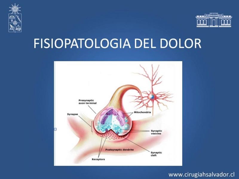 Diapositiva 3 de Manejo del dolor agudo postoperatorio