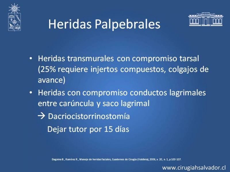 Diapositiva 22 de Heridas faciales complejas