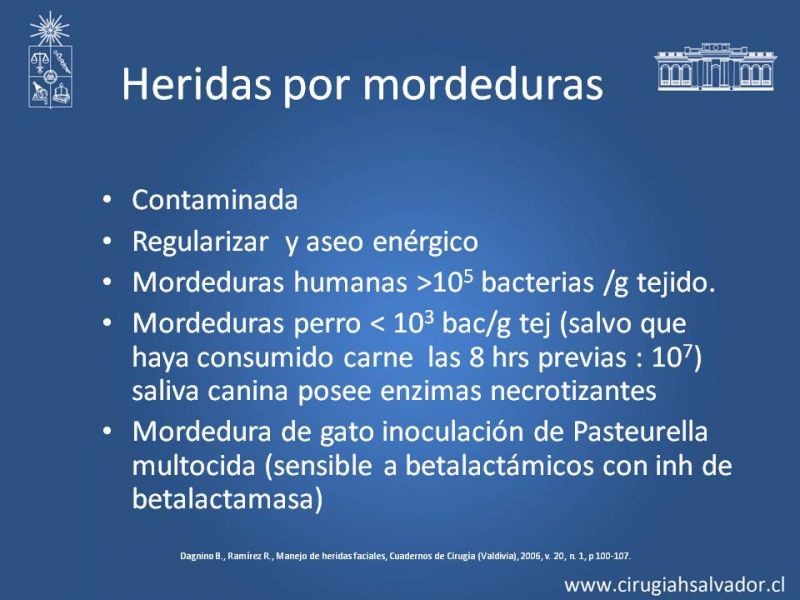 Diapositiva 17 de Heridas faciales complejas