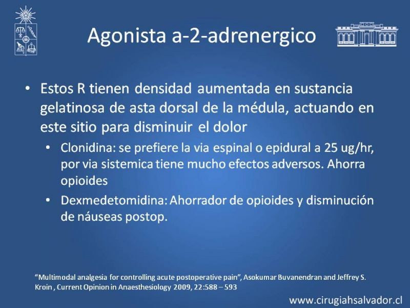 Diapositiva 27 de Manejo del dolor agudo postoperatorio