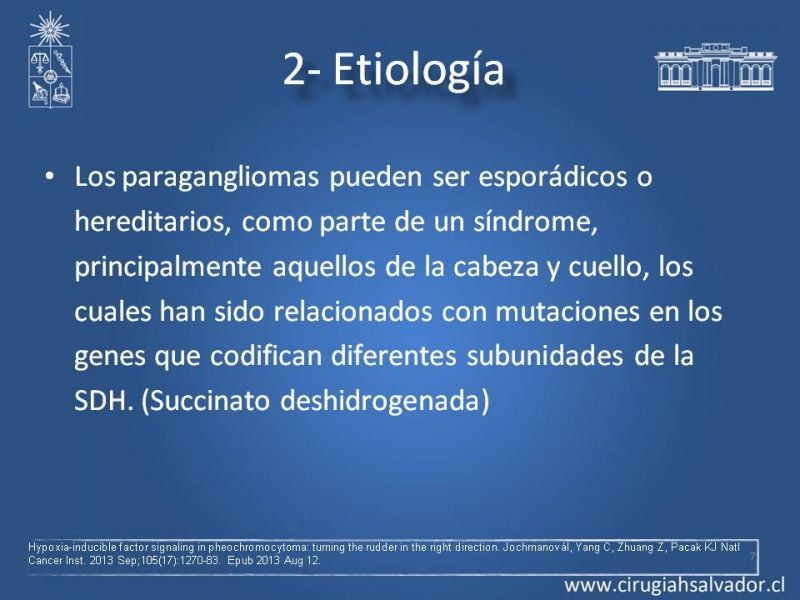 Diapositiva 6 de Paraganglioma cervical
