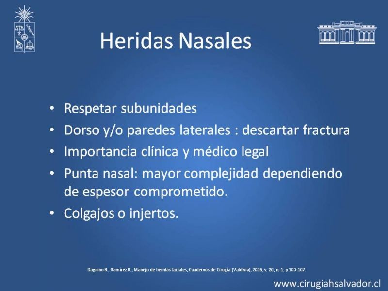Diapositiva 25 de Heridas faciales complejas