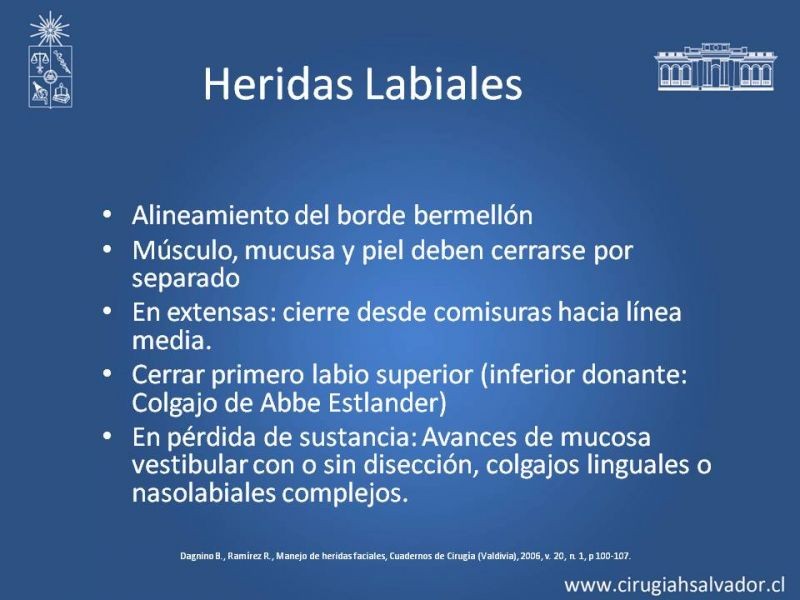 Diapositiva 27 de Heridas faciales complejas