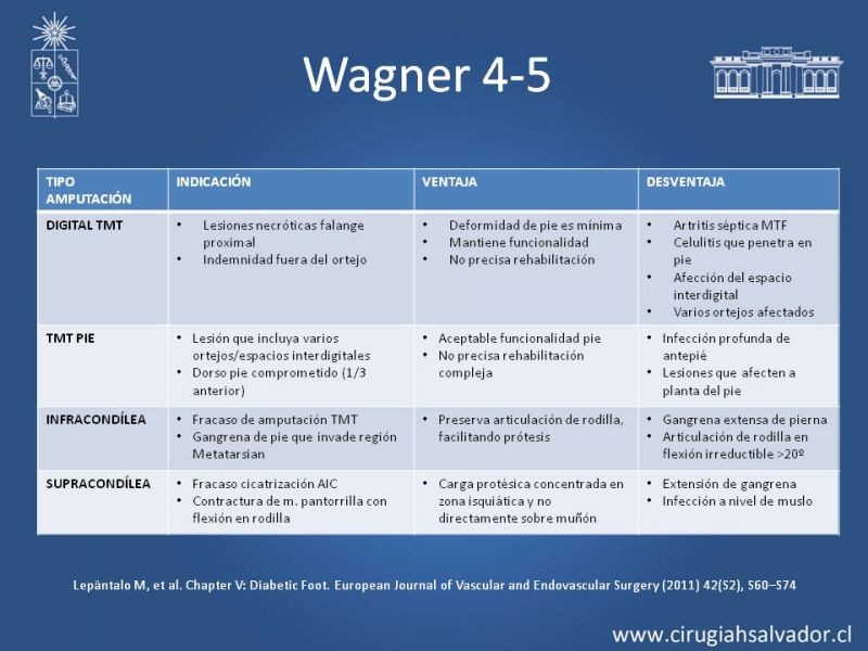 Diapositiva 15 de Manejo del Pie Diabético