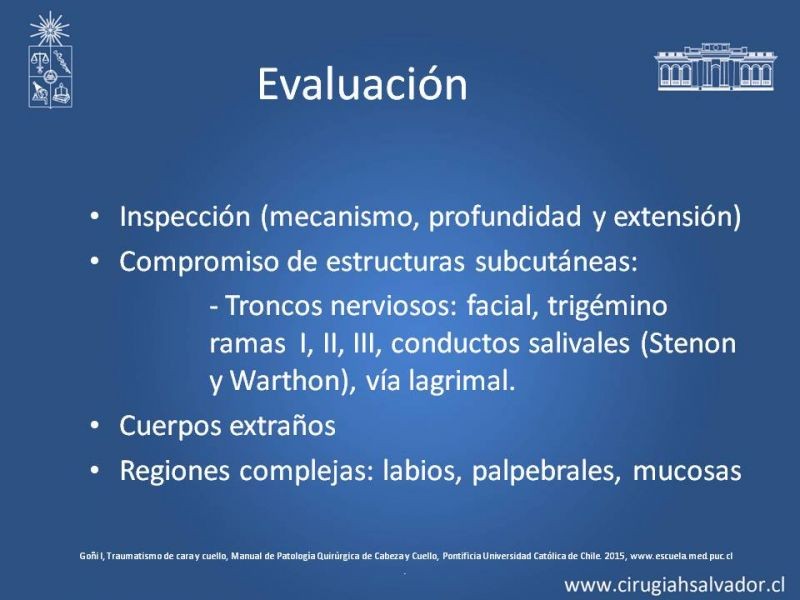 Diapositiva 4 de Heridas faciales complejas