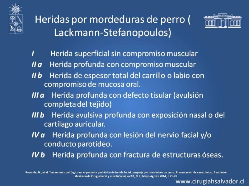 Diapositiva 18 de Heridas faciales complejas