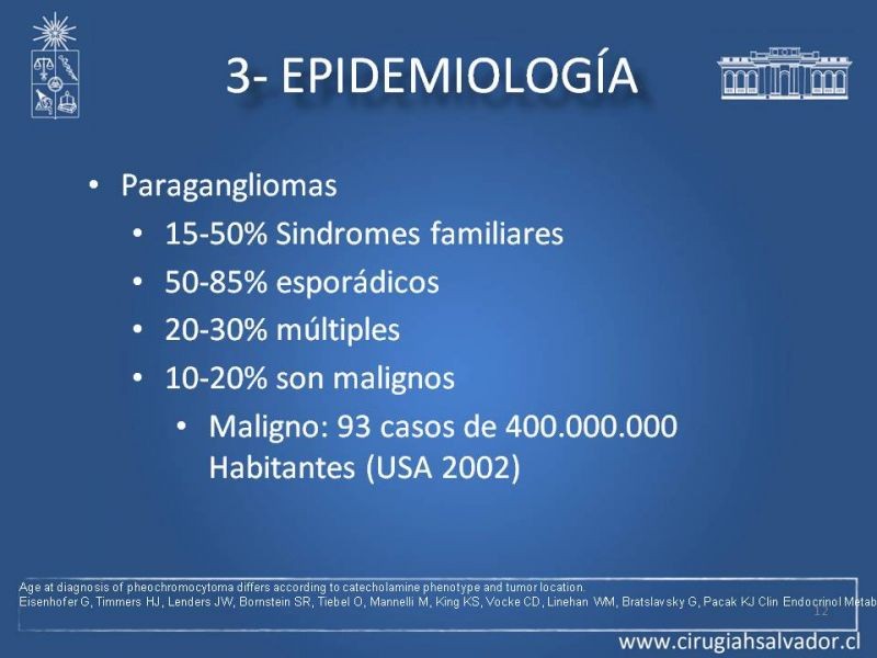 Diapositiva 11 de Paraganglioma cervical