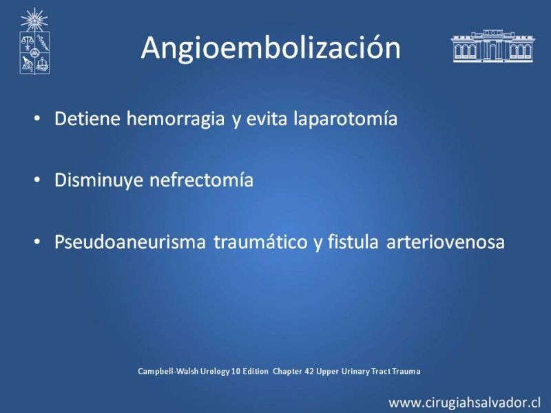 Diapositiva 7 de Manejo Quirúrgico del Trauma Renal