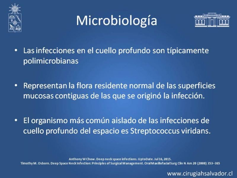 Diapositiva 26 de Absceso cervical y vías de abordaje