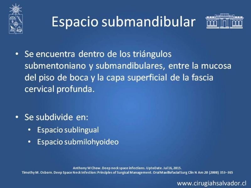 Diapositiva 7 de Absceso cervical y vías de abordaje