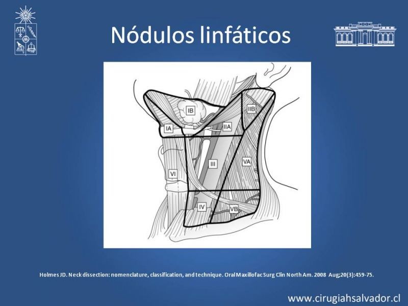 Diapositiva 24 de Absceso cervical y vías de abordaje