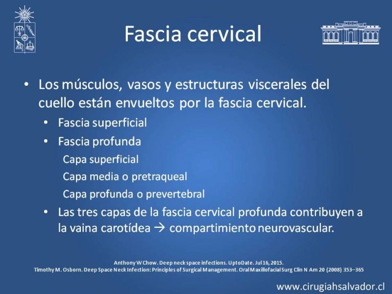 Diapositiva 3 de Absceso cervical y vías de abordaje