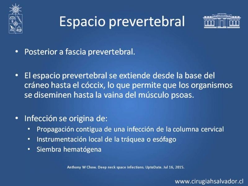 Diapositiva 16 de Absceso cervical y vías de abordaje