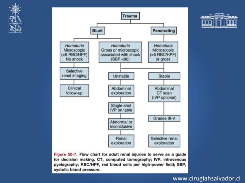 Diapositiva 24 de Manejo Quirúrgico del Trauma Renal