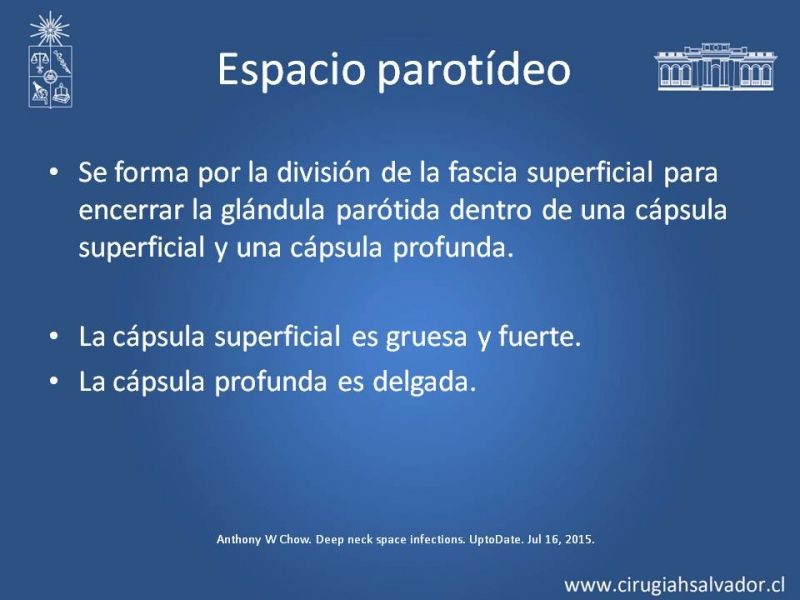 Diapositiva 22 de Absceso cervical y vías de abordaje