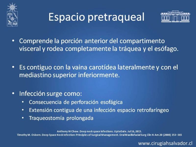 Diapositiva 18 de Absceso cervical y vías de abordaje