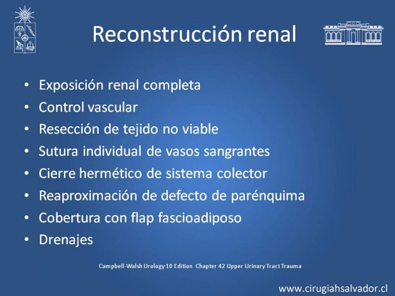 Diapositiva 14 de Manejo Quirúrgico del Trauma Renal