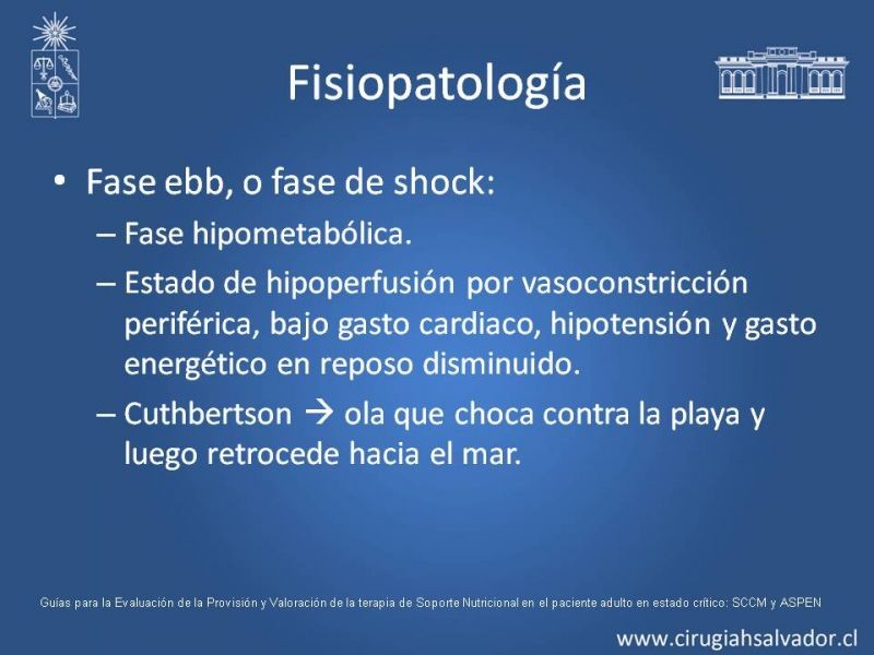 Diapositiva 4 de Nutrición en paciente crítico