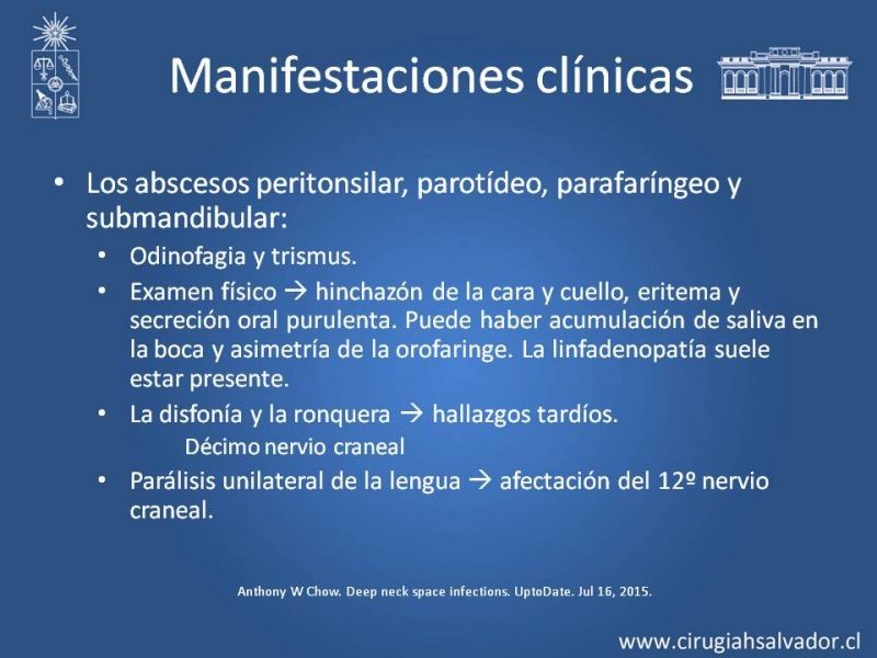 Diapositiva 29 de Absceso cervical y vías de abordaje