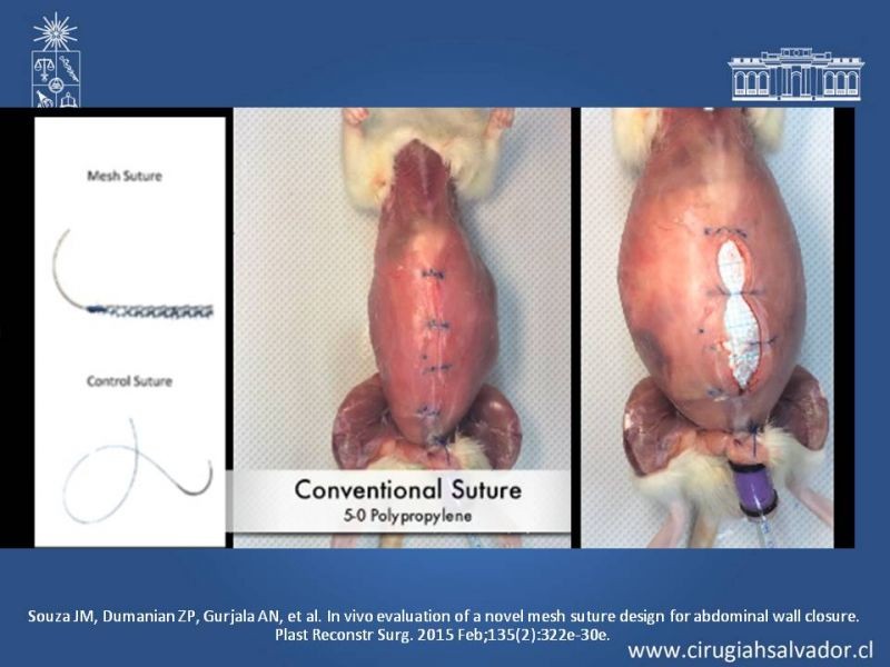 Diapositiva 55 de Evisceración