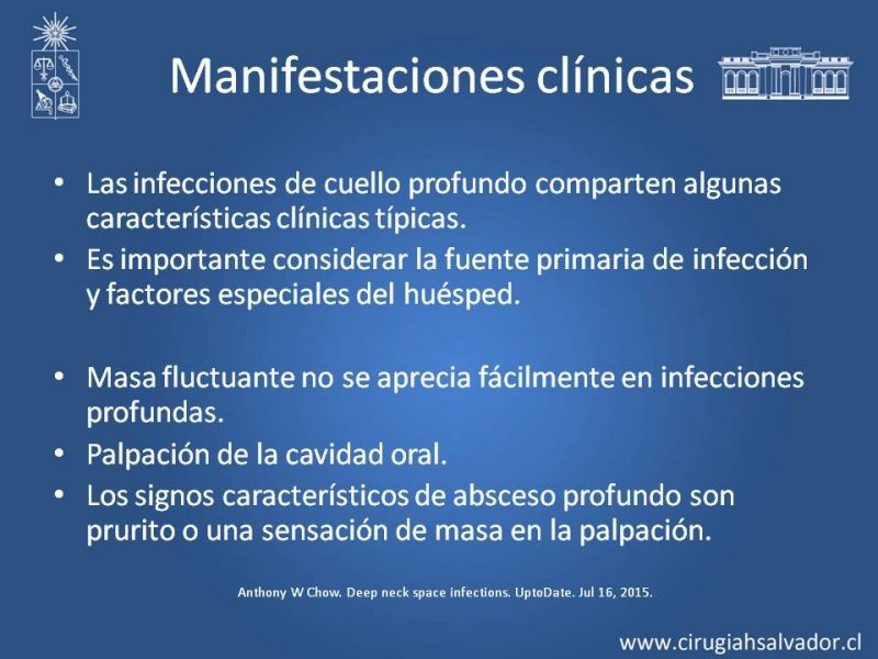 Diapositiva 28 de Absceso cervical y vías de abordaje