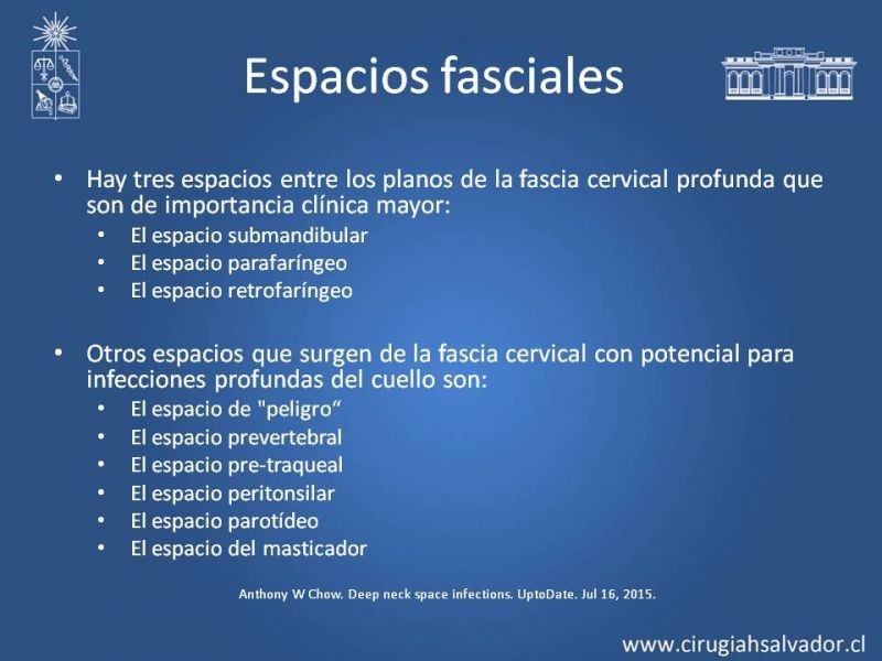 Diapositiva 4 de Absceso cervical y vías de abordaje